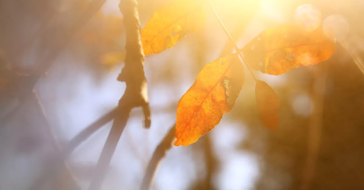 Frissítették az előrejelzést: ilyen idő vár ránk szerdán