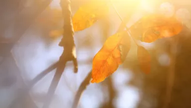 Frissítették az előrejelzést: ilyen idő vár ránk szerdán