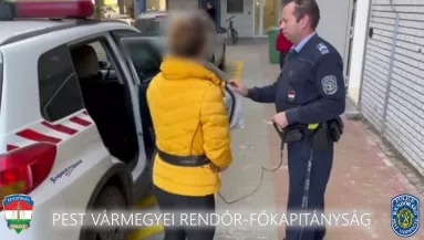 Megharapott egy embert a 28 éves Gina Tökölön: de nem ezért tartóztatták le - Fotók