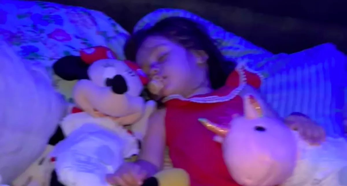 Leesett a nő álla, amikor meglátta, mit csinált a lánya az összes plüssjátékával - Videó