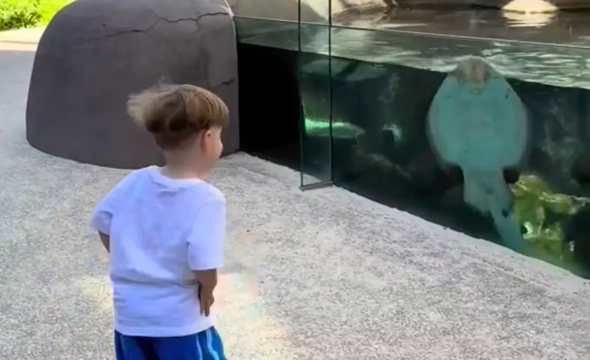 A fiát filmezte az állatkertben: amikor meglátta, mit csinál egy rája, elakadt a szava - Videó