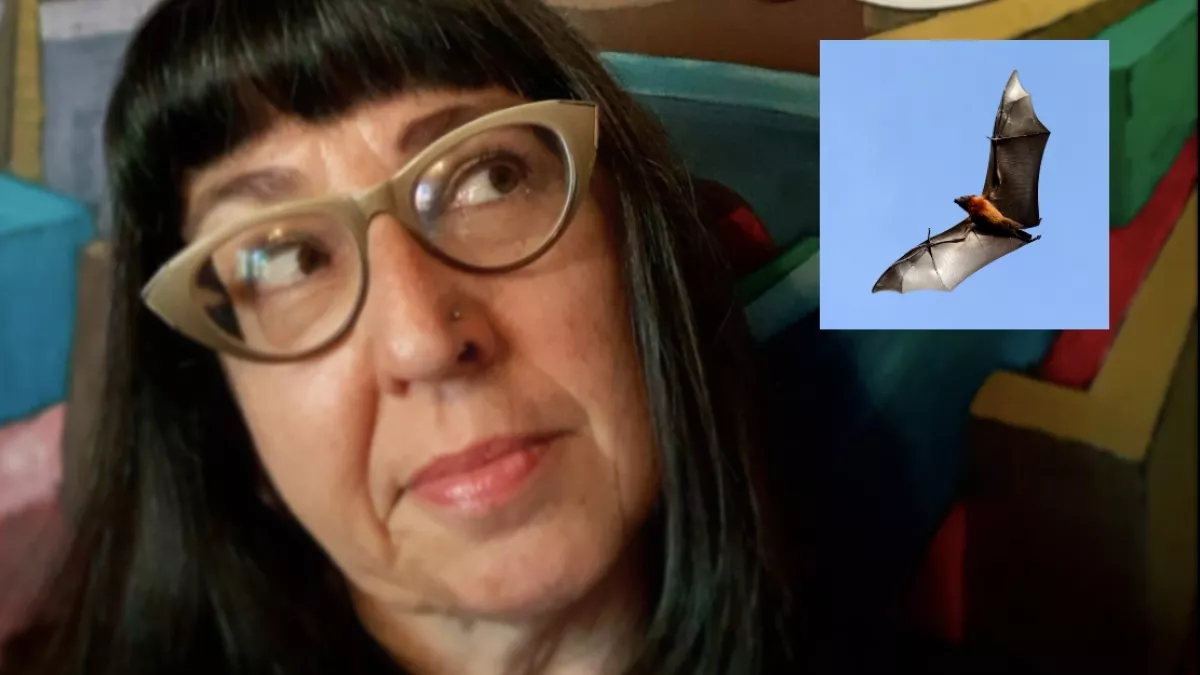 A tanárnő megmentette egy denevért - majd pár hét múlva belehalt