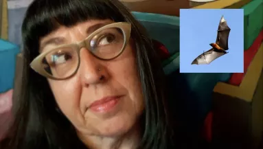 A tanárnő megmentette egy denevért - majd pár hét múlva belehalt