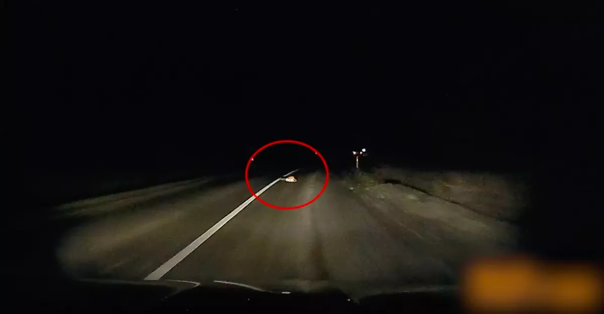 GTA-ba illő jelenetek: láncfűrészeket dobált a 170-nel menekülő férfi a rendőrökre - Videó