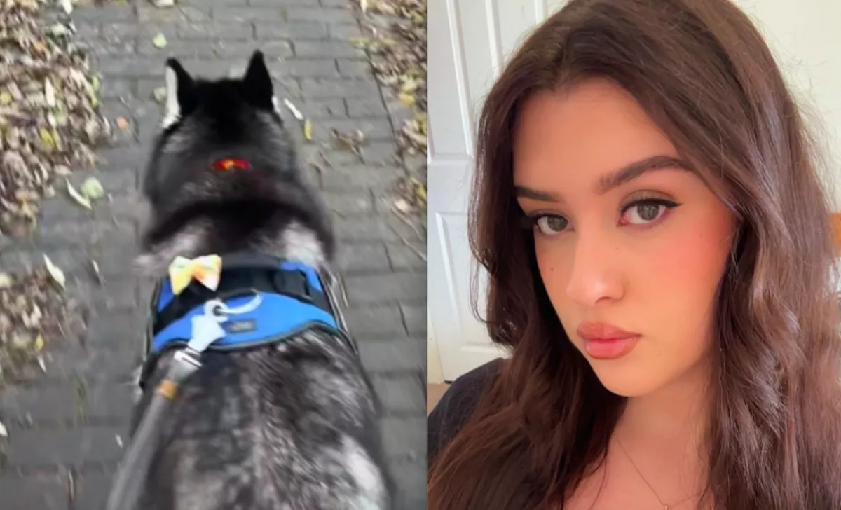 Amit a husky minden séta alatt csinál, az testszégyenítés - Mégis milliók nevetnek rajta - Videó