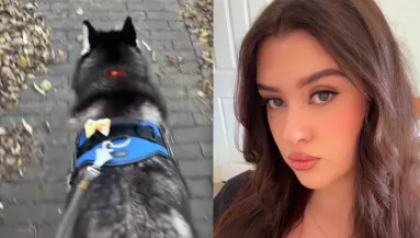 Amit a husky minden séta alatt csinál, az testszégyenítés - Mégis milliók nevetnek rajta - Videó