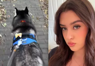 Amit a husky minden séta alatt csinál, az testszégyenítés - Mégis milliók nevetnek rajta - Videó