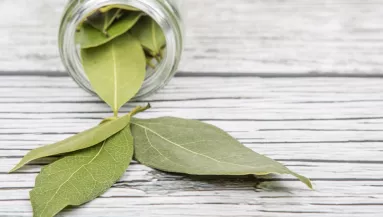 Égettél már valaha babérlevelet a lakásban? Próbáld ki, extrém dolgot tapasztalsz majd