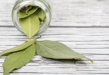 Égettél már valaha babérlevelet a lakásban? Próbáld ki, extrém dolgot tapasztalsz majd