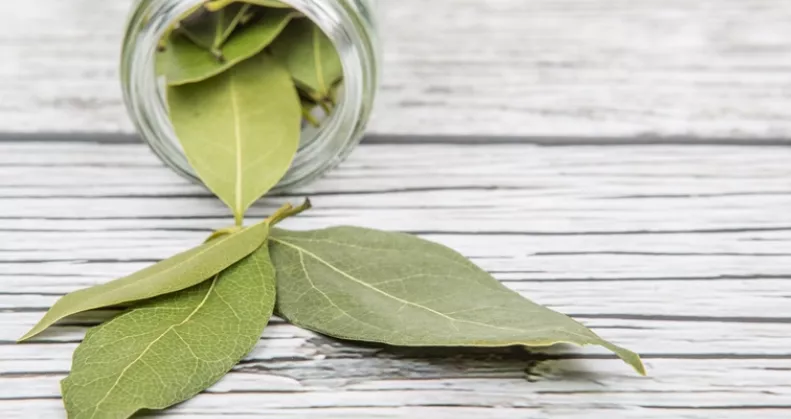 Égettél már valaha babérlevelet a lakásban? Próbáld ki, extrém dolgot tapasztalsz majd