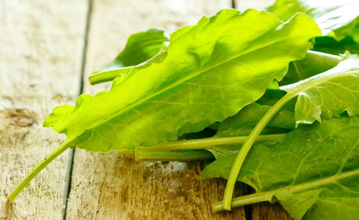 Ez a zöldség valódi aduász: csökkenti a vérnyomást, és még fogyhatsz is vele!