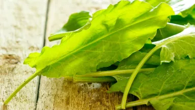 Ez a zöldség valódi aduász: csökkenti a vérnyomást, és még fogyhatsz is vele!