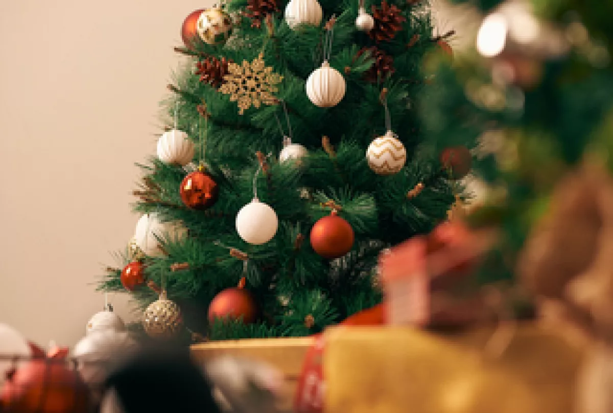 3 trükk, hogy ne száradjon el karácsony előtt a fád