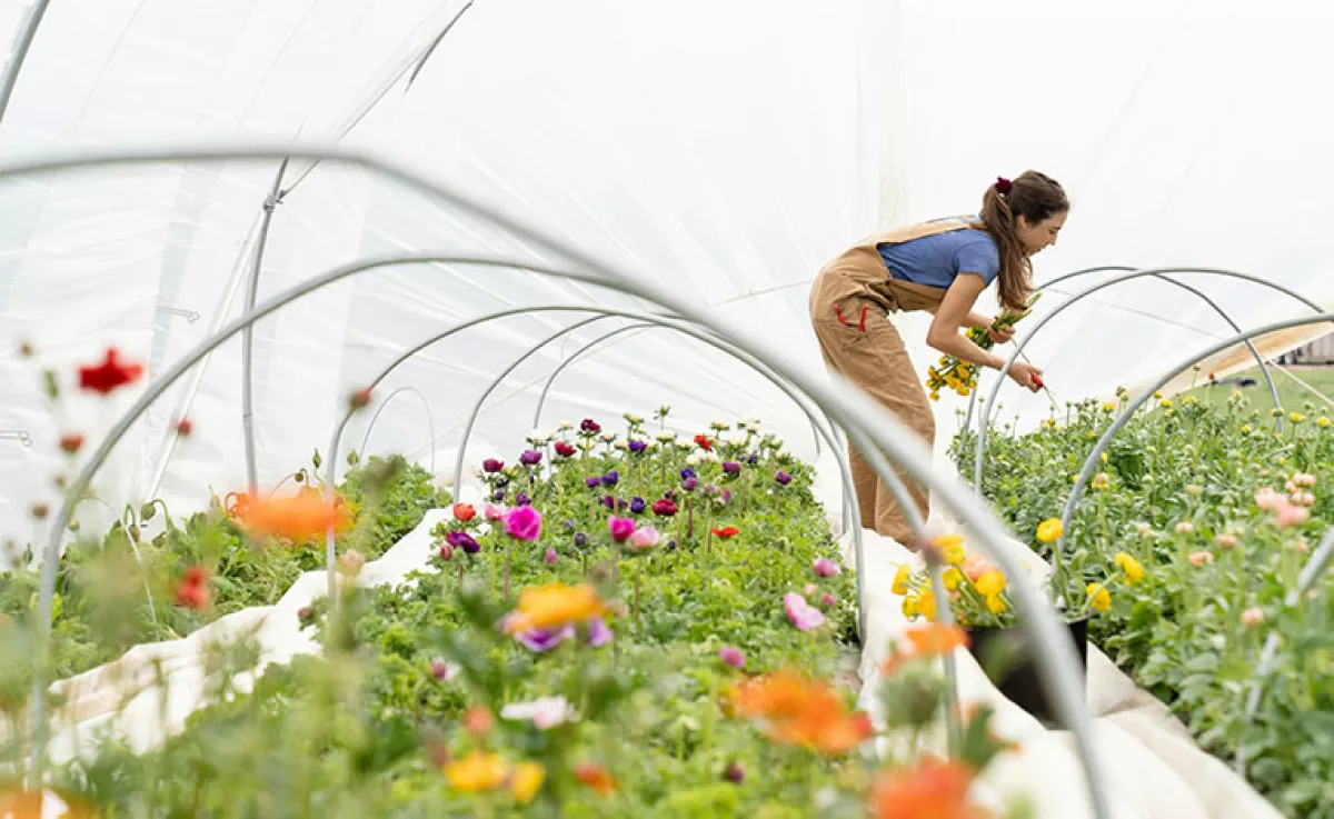 Minőségi munkásnadrágok: védelem és kényelem minden helyzetben