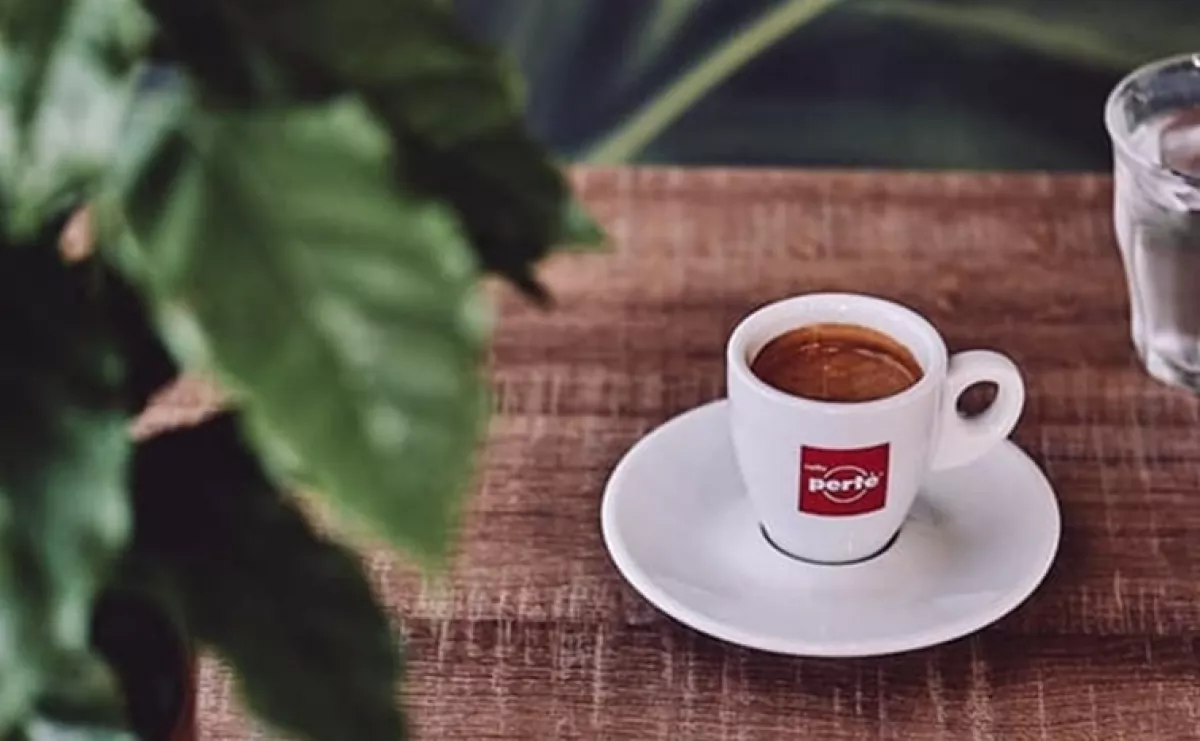 Minden, amit a kávécserjéről tudni érdemes