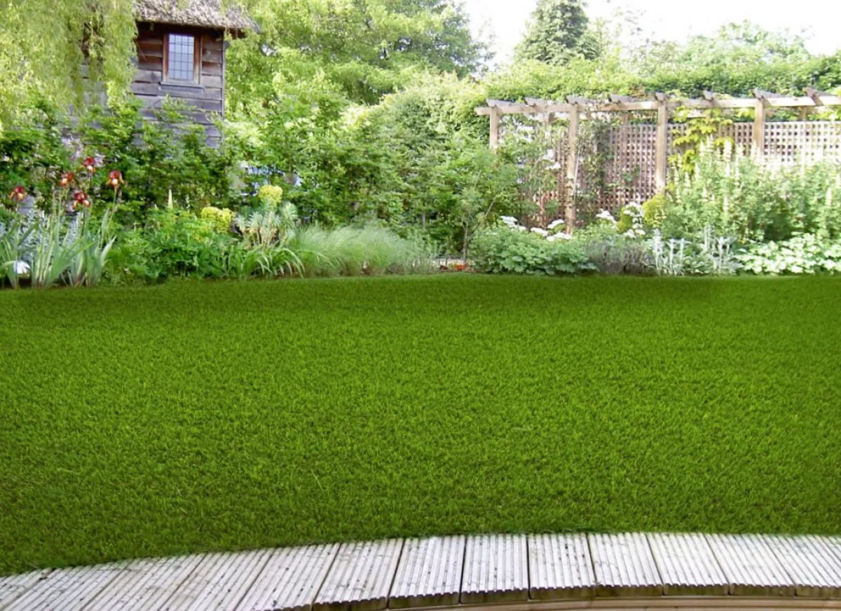 Műfű lerakása állatbarátoknak