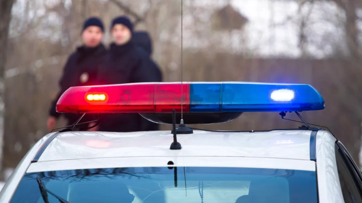 Hűtőszekrényt talált az erdőben a férfi: ami benne volt, attól meghűlt az ereiben a vér - Fotók