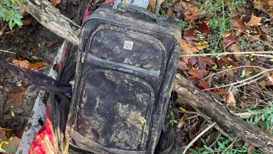 Egy bőröndöt talált a patakban Marcel: amikor belenézett, elállt a lélegzete - Videó