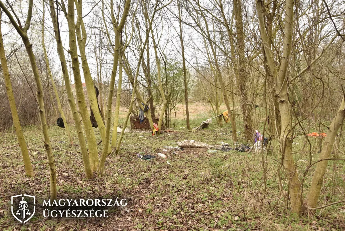 Horror Zalaegerszegen: agyonverte, felgyújtotta és feldarabolta az élettársát egy férfi - Fotók