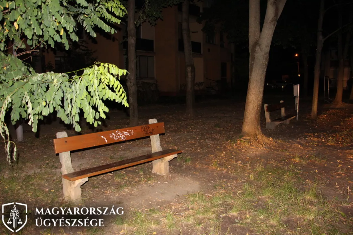 Fogyatékos nőt itatott le egy kecskeméti férfi: majd embertelen dolgot tett - Fotó