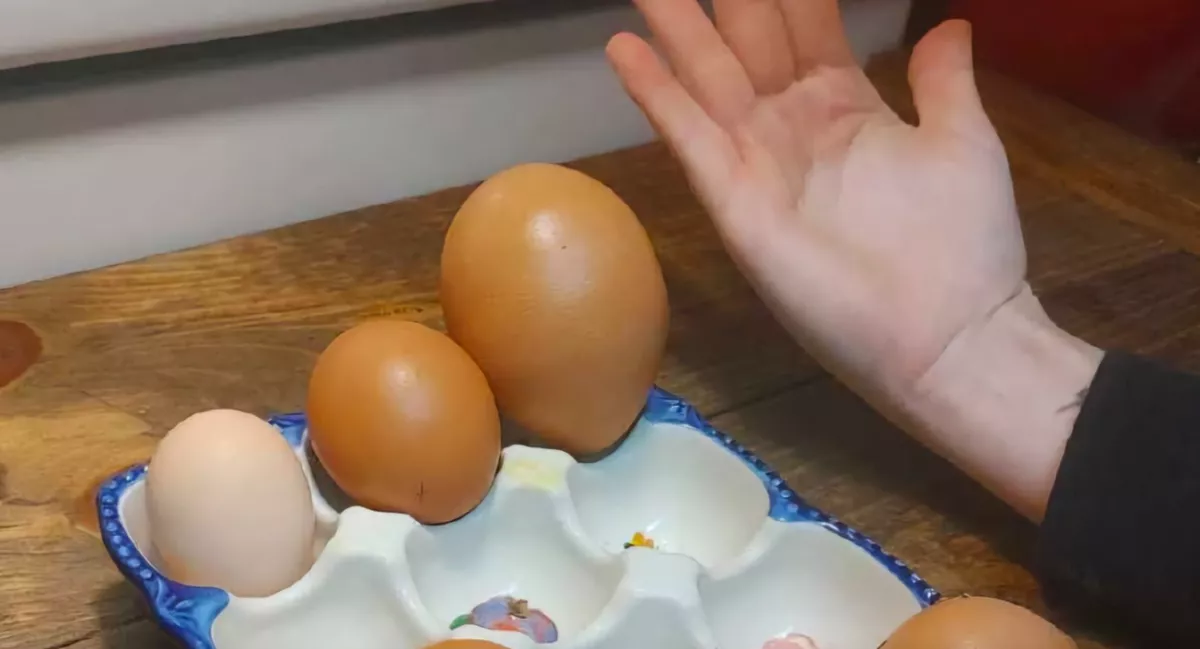 Ha ilyen színű a tojás belseje, azonnal dobd ki