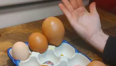 Hatalmas tyúktojást talált a nő: amikor meglátta, mi van benne, elakadt a szava - Fotók