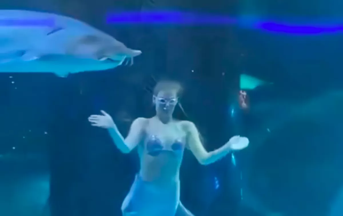 Óriás hal harapta fejbe a sellőt: a látogatók szeme láttára - Videó