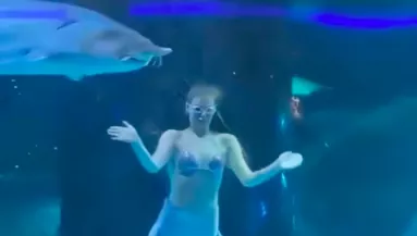 Óriás hal harapta fejbe a sellőt: a látogatók szeme láttára - Videó