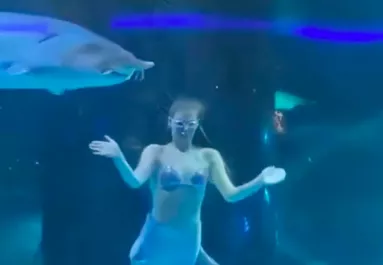 Óriás hal harapta fejbe a sellőt: a látogatók szeme láttára - Videó