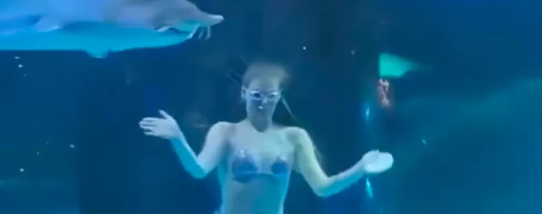 Óriás hal harapta fejbe a sellőt: a látogatók szeme láttára - Videó