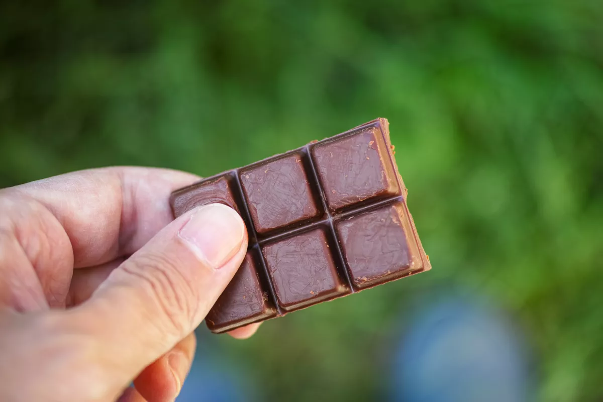 Furcsa érzése volt Daninak, amikor beleharapott a tábla csokiba: aztán megnézte - Fotó