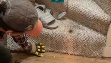 Házat újít fel a házaspár: amit a lépcsőházi szőnyeg alatt találnak, elborítja az agyukat - Videó