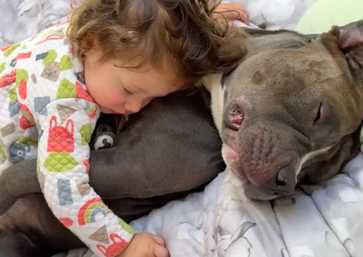 Amikor meglátja az apa, hol feküdt le a kislánya aludni, azonnal előkapja a kameráját - Videó