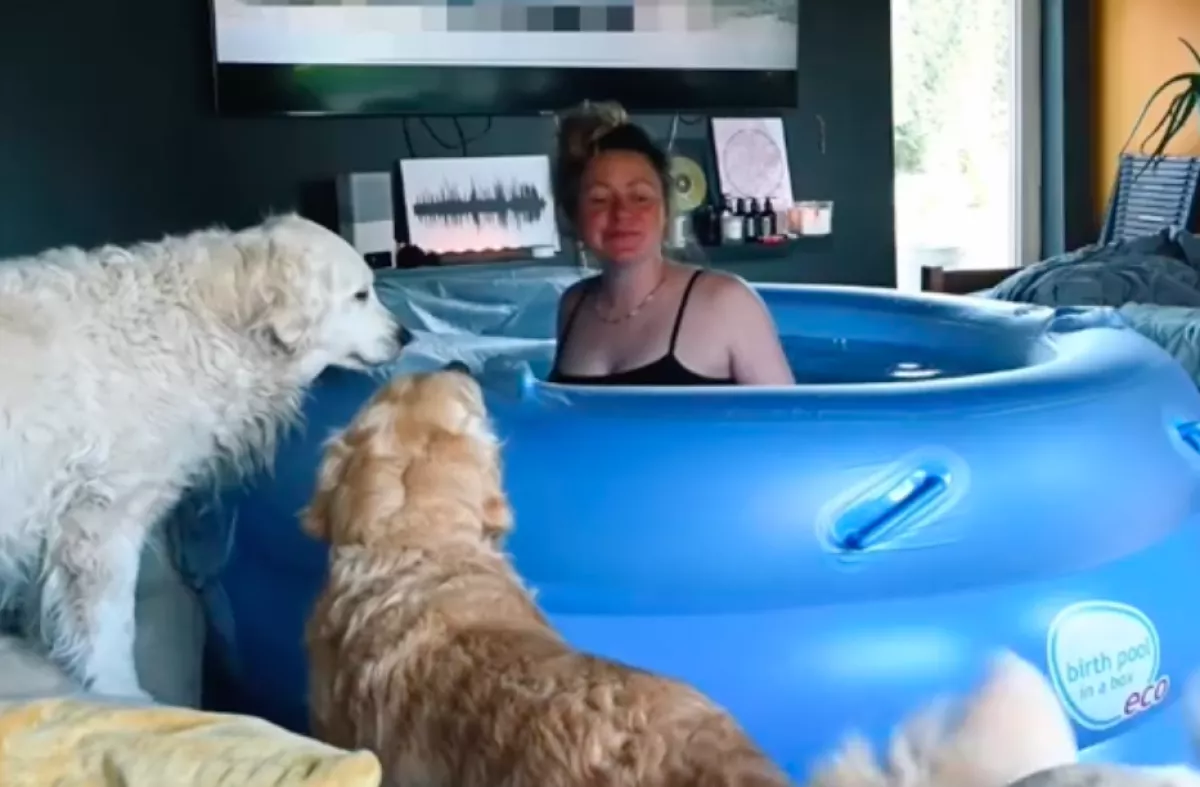 Otthon szült a nő: amit a 3 kutyája tesz, milliókat ríkat meg - Videó