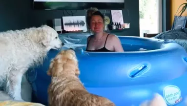 Otthon szült a nő: amit a 3 kutyája tesz, milliókat ríkat meg - Videó