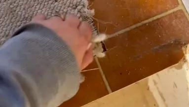 Felemelte a szőnyeget a nő az otthonában: nem hitte el, amit ott talált - Videó