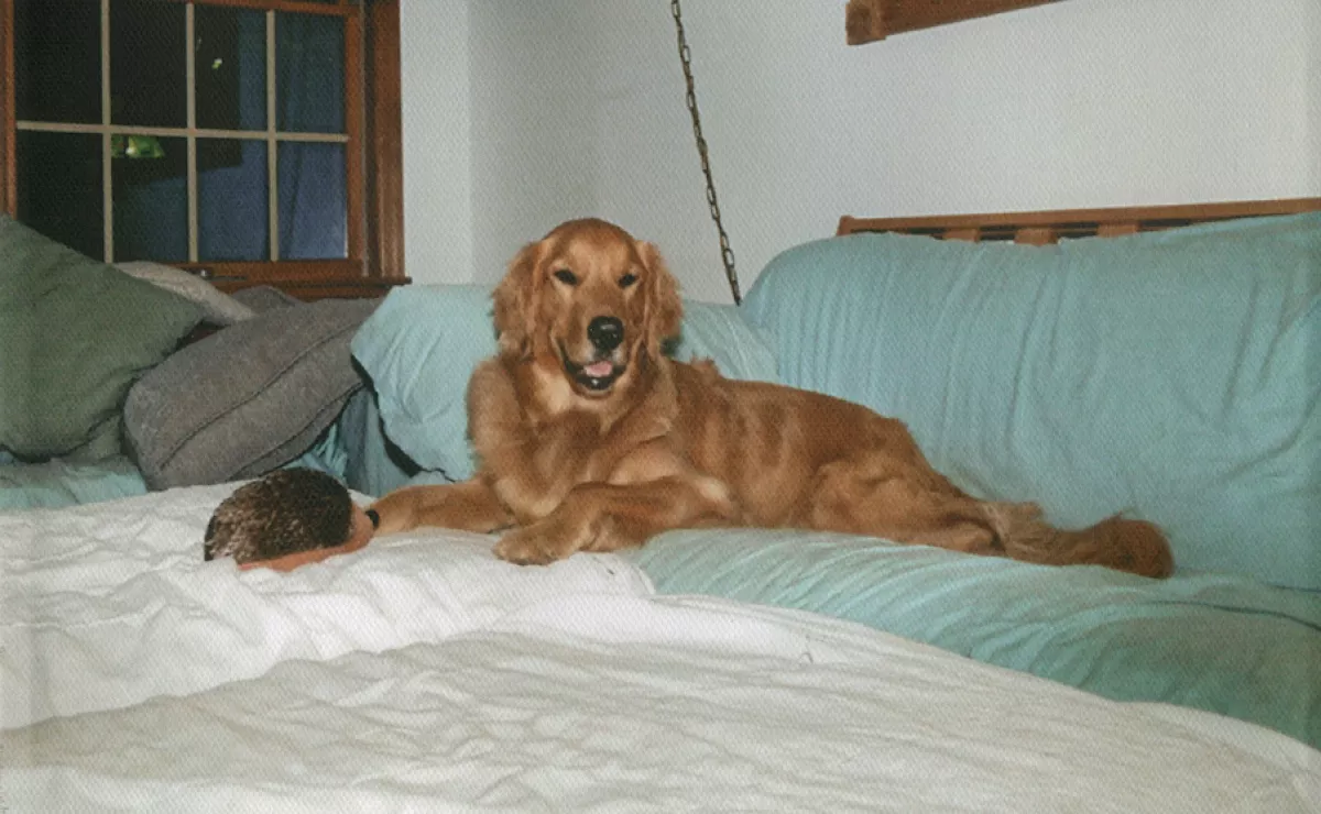 Meglátta a képeket a nő a turkálóban és azonnal eleredtek a könnyei - Videó