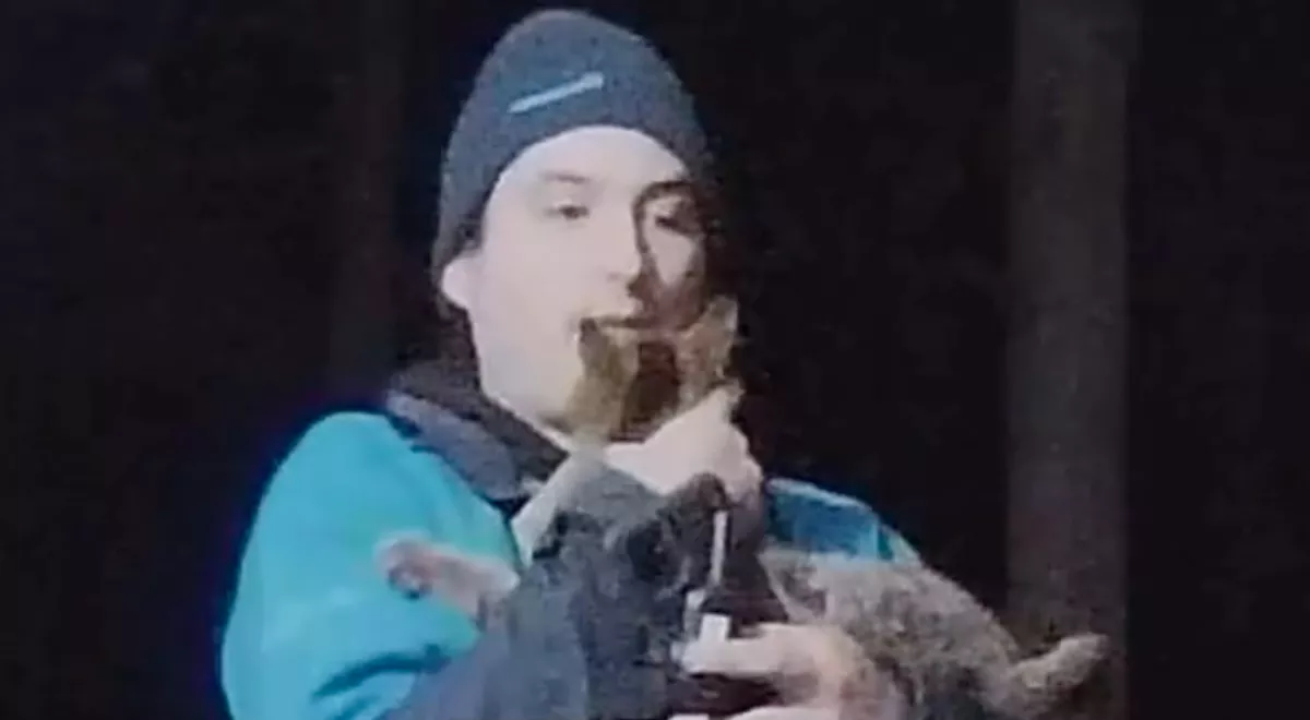 Gusztustalan, mit tett az Amazon-futár a család macskájával - Kamera rögzítette