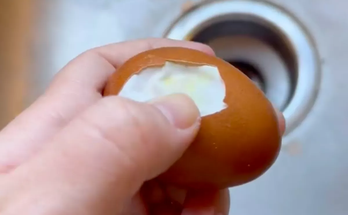 Furcsa tojást talált a nő: amikor meghámozta, elborzadt - Videó