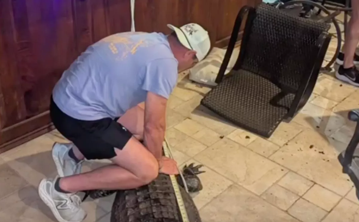 Furcsa kaparászást hall a pár: amikor kinéznek a verandára, kitör a pánik - Videó