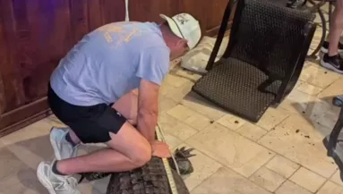 Furcsa kaparászást hall a pár: amikor kinéznek a verandára, kitör a pánik - Videó