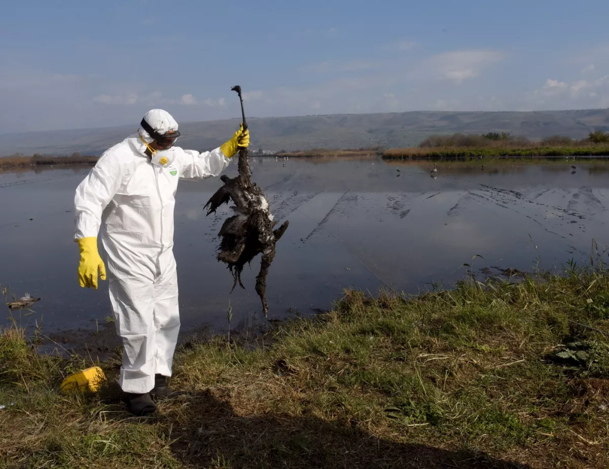 Madárinfluenza fertőzés után hunyt el egy 3 éves kislány