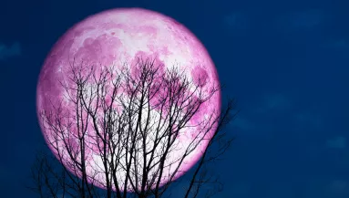 Rózsaszín Telihold: ez a 3 csillagjegy kemény leckét kap vasárnap