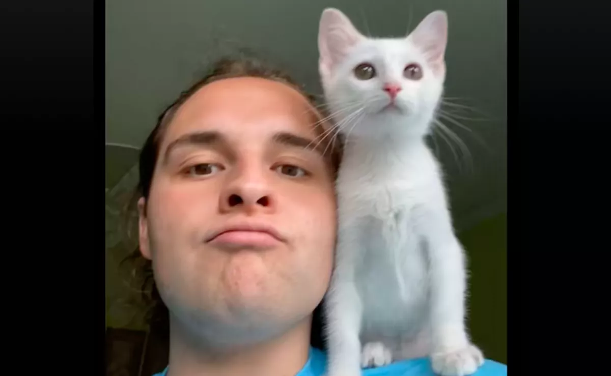 Örökbe fogad egy törpe macskát a srác: ami lesz belőle, attól eláll a lélegzete - Videó