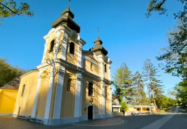 Csoda Szentkúton: hófehér csodaszarvas jelent meg Böjte Csaba liturgiája alatt szombaton - Fotó