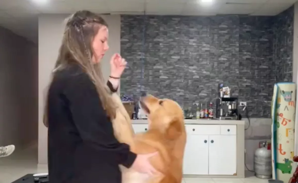 Videóra veszi a nő a golden retrievere oktatását: amikor visszanézi, majdnem sírva fakad - Videó