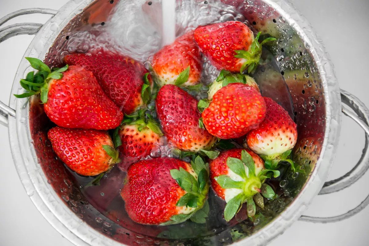 Sokkoló videó: így derítheted ki, hogy vannak-e rovarok az eperben - Videó