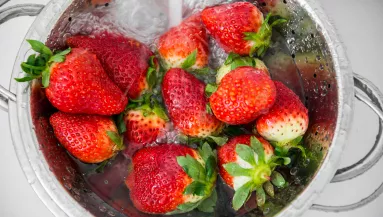 Sokkoló videó: így derítheted ki, hogy vannak-e rovarok az eperben - Videó