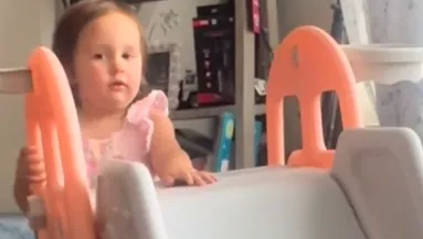 Amikor a kislány a halott macskával kezd játszani, az anyja egy percre sem tétovázik - Videó