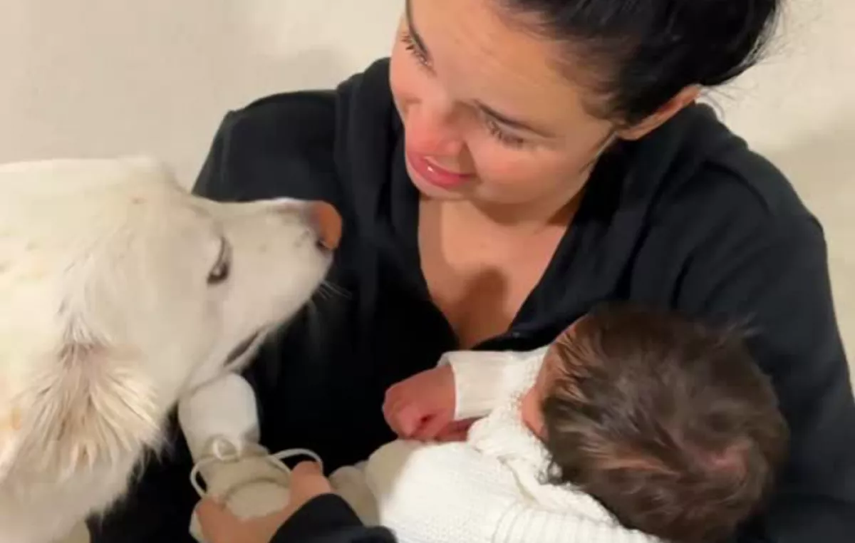 Először találkozik a babával a kutya: de valami más sokkal fontosabb neki - Videó